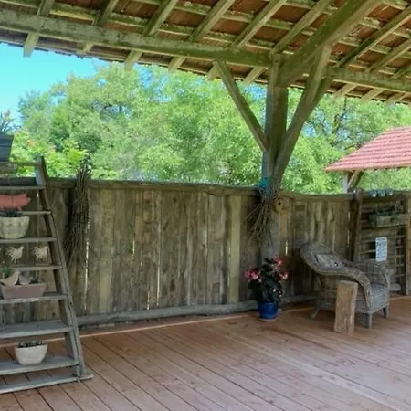 Tatil Evi Les Ailes Du Temps *