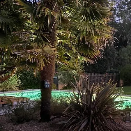 Les Ailes Du Temps *